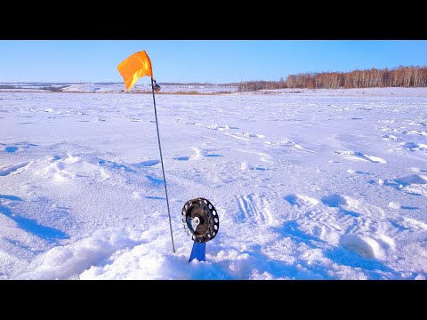 Видео: ЖЕРЛИЦЫ ТОЛЬКО РАССТАВИЛ И СРАЗУ НАЧАЛИСЬ СРАБОТКИ.ЛОВЛЯ ЩУКИ НА ЖИВЦА ЗИМОЙ.
