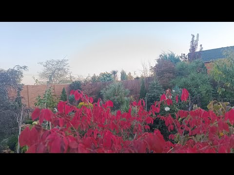 Видео: Оформлюємо майбутній міні-ставочок в природний стиль з імітацією каміння.