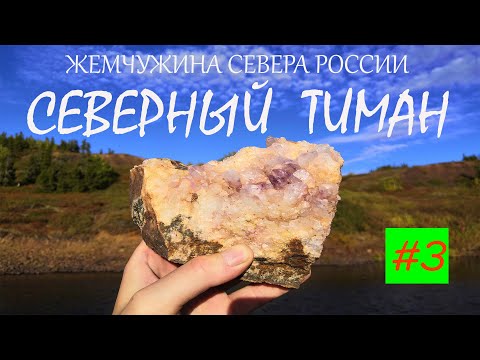 Видео: Северный Тиман / Зайцы / Стоянка оленеводов / Изба промысловика
