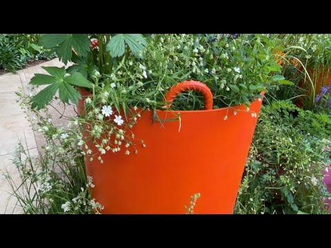 Видео: Выставка Цветов В Челси 2022 Лондон ( 2 часть )- Chelsea Flower Show 2022 London ( 2 part )