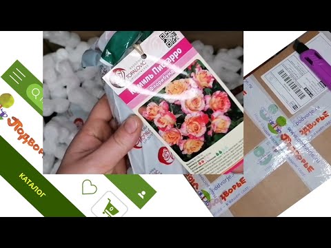 Видео: 🌹Ждала розы из Подворья, а получила мусор со ДВОРА! ☹️#розыизподворья#уральскиерозы #розы