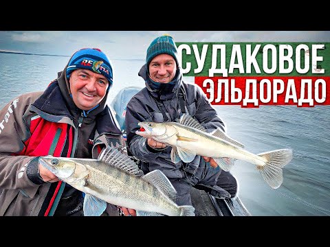 Видео: Когда РЫБАЛКА С ГИДОМ стоила КАЖДОГО ПОТРАЧЕННОГО РУБЛЯ!  Судаковое ЭЛЬДОРАДО+ БОНУСЫ!