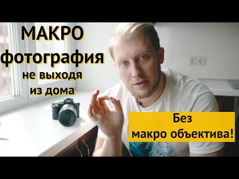 Видео: Макро фотография | Урок и лайфхаки как фотографировать без макро объектива