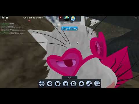 Видео: ПАРУ БАГОВ С МОИМИ ДРУЗЬЯМИ В WCUE! Warrior Cats! Roblox! КОТЫ ВОИТЕЛИ!