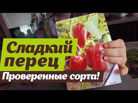 Видео: Какой сладкий перец посадить.   Проверено на Урале