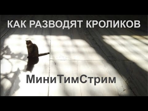 Видео: "КАК РАЗВОДЯТ КРОЛИКОВ". МиниТимСтрим
