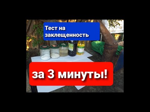 Видео: Самый простой Тест на Заклещенность пчел за 3 минуты, как? Копеечное Средство Дешево и сердито