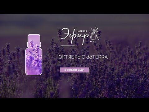 Видео: Имбирь и Бессмертник Touch (Эфир dōTERRA 02.10.2025)