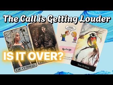 Видео: Сообщения СЕГОДНЯ от вас: «Я ВЫБИРАЮ ТЕБЯ». Извинения в ноябре 2025 г. #таро #вневременной