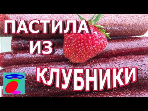 Видео: Пастила из клубники. Пастила из ягод.