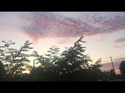 Видео: Как проходит терапия? Какие методы я использую?