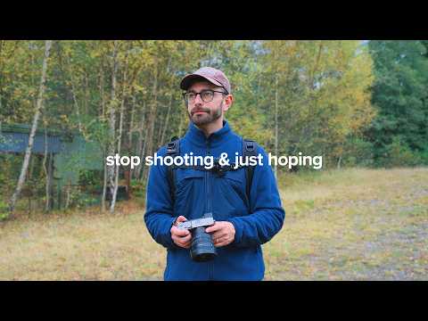 Видео: 3 вопроса, которые сделают любую фотографию лучше!