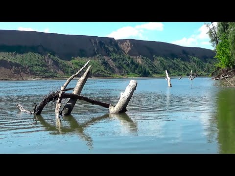 Видео: УТОПИЛ В КОРЯГАХ! РЫБАЛКА ПОШЛА НЕ ПО ПЛАНУ! Щука в лютом коряжнике