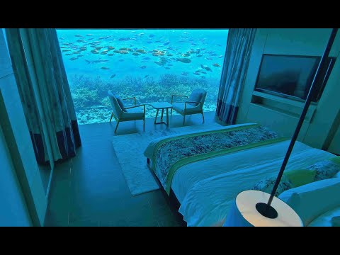 Видео: Мальдивы 2022   Pullman 5*