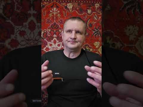 Видео: Попугай улетел на улицу, сможет он самостоятельно вернуться домой?