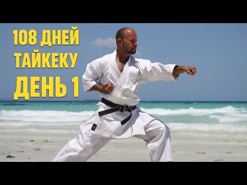 Видео: Челлендж "108 дней Тайкеку". День 1.
