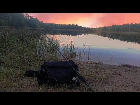 Видео: Рыбалка на ультралайт.В поисках активного окуня,осенним вечерком.