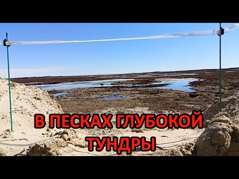 Видео: РАБОТА ВАХТОЙ НА СЕВЕРЕ.  Почти накопил на жильё!