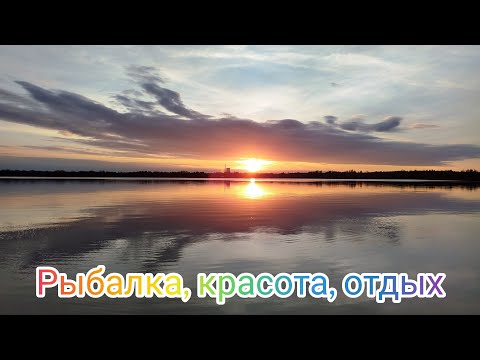 Видео: Рыбалка на карпа