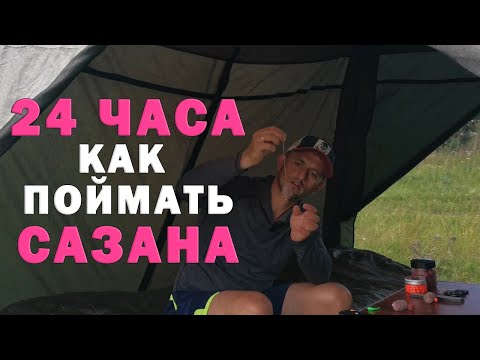 Видео: Рыбалка на сазана и карпа хороший клев. Побили бигфиш. Понятно о карпфишинге