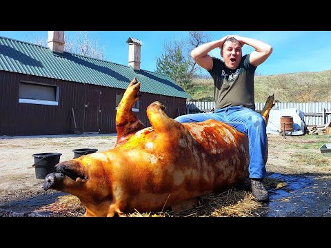 Видео: ТА ВІН ЯК ХАТА.. ОЦЕ ТЮЛЕНЬ.  КУЗІ  більше немає ...