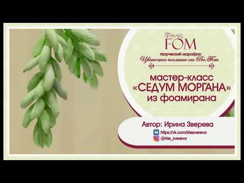 Видео: Pro.FOM/Про.ФОМ/ Мастер-класс "Седум Моргана".  Ирина Зверева