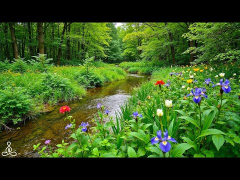 Видео: Пианино среди природы 🌿 Музыка для гармонии, медитации, сна, восстановления сил