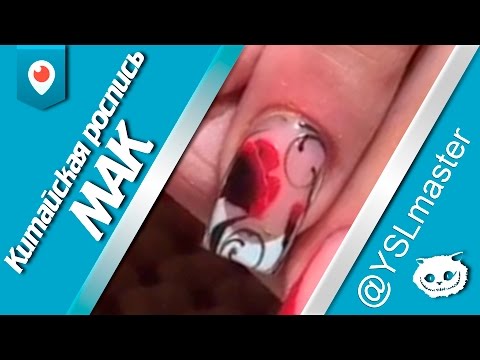 Видео: Китайская роспись - Мак