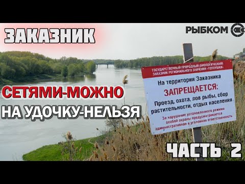 Видео: Дельта Волги. Сетями можно, на удочку нельзя! Часть 2