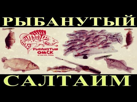 Видео: Ловля окуня. Озеро Салтаим (Омская область)