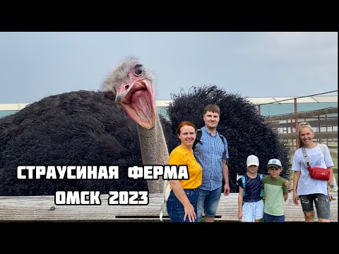 Видео: Страусиная ферма. Омский страус. Зоопарк в Омске. Куда съездить на выходные с детьми в Омске