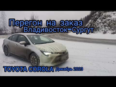 Видео: Перегон Владивосток-Сургут. TOYOTA COROLA зима 2023