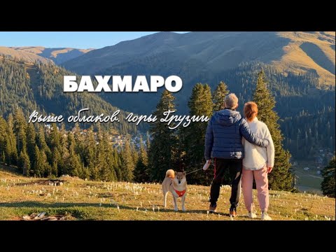 Видео: Едем в Бахмаро дышать горным воздухом #грузия #жизньзаграницей #travel #путешествиенамашине #бахмаро