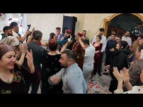 Видео: туй Зумудг -Ширгин