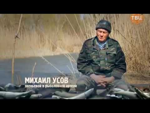 Видео: Рыбный промысел.Документальный фильм "Добыча"