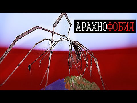 Видео: Этот Мод ЗАСТАВИТ ВАС БОЯТЬСЯ ПАУКОВ | АРАХНОФОБИЯ В МАЙНКРАФТЕ