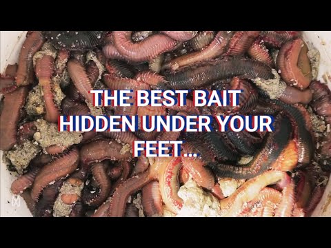 Видео: ЛУЧШАЯ УНИВЕРСАЛЬНАЯ НАЖИМКА — КАК ДОБЫТЬ ЧУДОВИЩА И КАК ЕГО СОХРАНИТЬ, ПОДРОБНОЕ ВИДЕО ОТ НАЧАЛА...