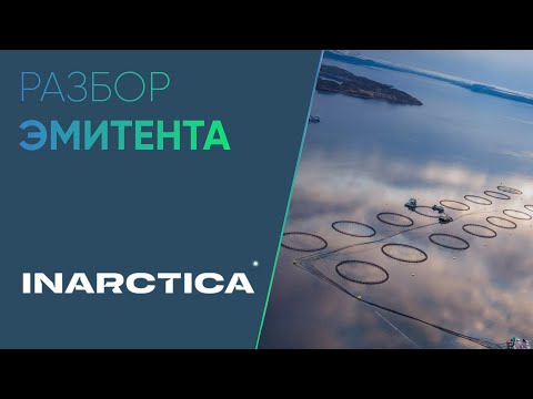 Видео: Разбор компании - Инарктика