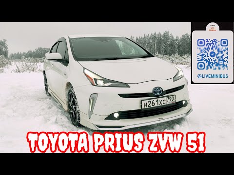Видео: ОТЗЫВ владельца о TOYOTA PRIUS и ее покупке с аукциона ЯПОНИИ.