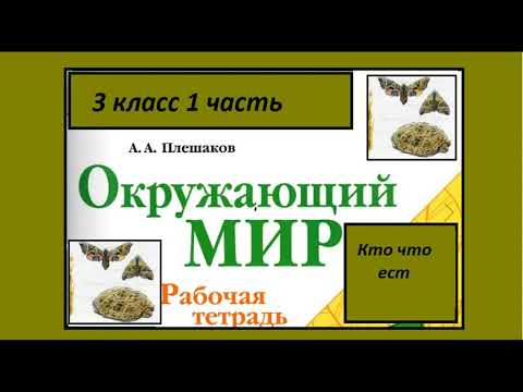 Видео: Окружающий мир 3 класс рабочая тетрадь. Кто что ест