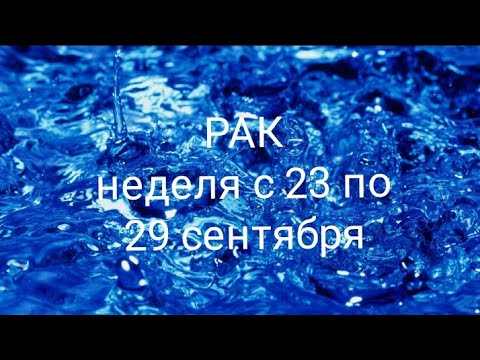 Видео: РАК неделя с 23 по 29 сентября 2024 года