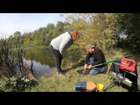 Видео: СЕМЕЙНЫЙ ОТДЫХ на природе и РЫБАЛКА с собаками Ловим карпа, ГОТОВИМ РЫБУ на ПРИРОДЕ