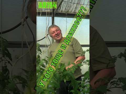 Видео: АВ154 А у вас какие растения на 20 апреля ??? #вермизакваска