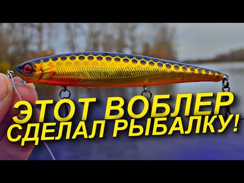 Видео: РЕАЛЬНО РАБОЧИЙ ВОБЛЕР НА ЩУКУ ОСЕНЬЮ! ЩУКА В ОКТЯБРЕ НА СПИННИНГ. РЫБАЛКА НА СПИННИНГ 2025