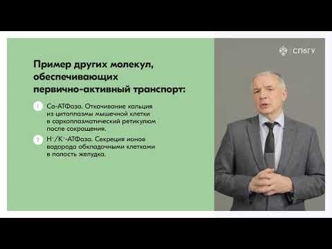 Видео: Механизмы активного транспорта