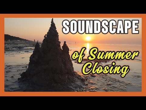 Видео: Last Summer Walk Around The Jurmala Beach at Sunset | Прогулка по Юрмальскому пляжу до заката