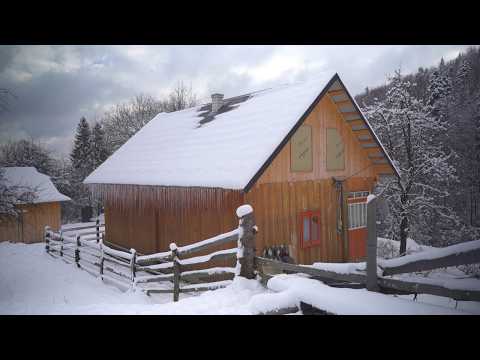 Видео: Невероятное выживание пожилой женщины. Тайная жизнь настоящего горца