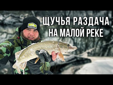 Видео: РАЗДАЧА ЩУКИ НА МАЛОЙ РЕКЕ