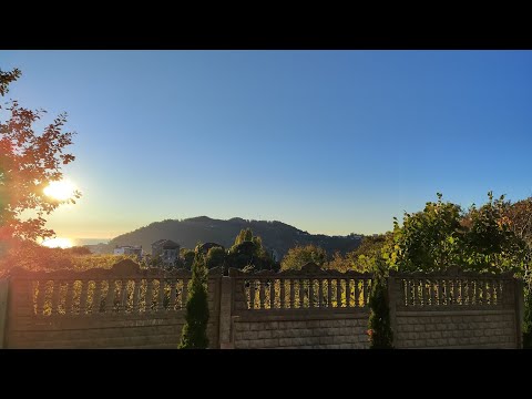 Видео: РАБОТА на объекте продолжается,скоро будет ещё один красивый сад!🌲🥰