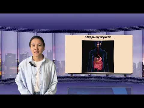 Видео: Асқорыту үдерісі және ферменттердің рөлі.